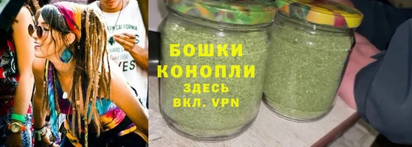 сатива Пролетарск