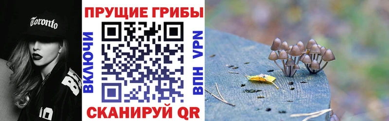 ОМГ ОМГ рабочий сайт  Тайшет  Галлюциногенные грибы Magic Shrooms  закладка 