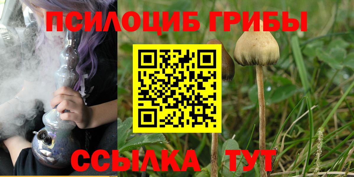 Псилоцибиновые грибы GOLDEN TEACHER Тайшет