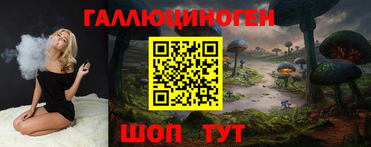 Тайшет  Галлюциногенные грибы Cubensis  Вход с VPN 