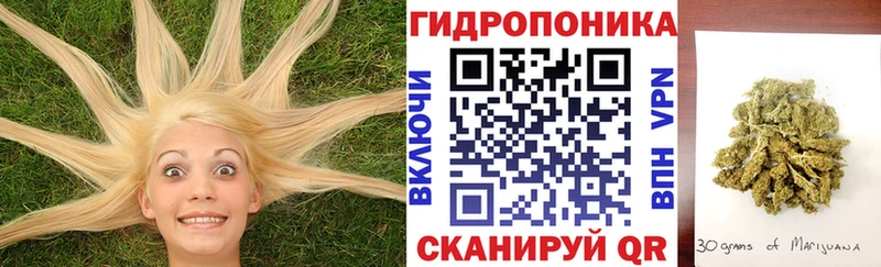 магазин продажи наркотиков  Тайшет  Бошки Шишки план 